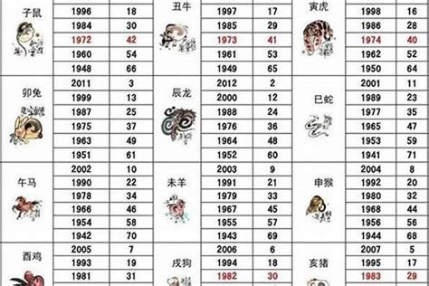 1982屬|1982年属什么 1982年属什么五行